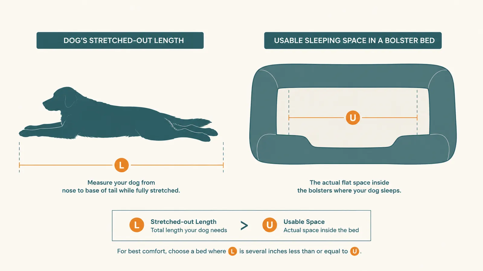 Simple diagram comparing a large dog's actual stretched-out length against the usable flat sleeping space inside a bolster-sided bed